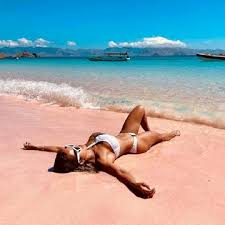 Beach Relaxation and Sunbathing pink island