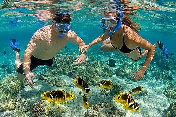 Snorkeling and Diving Adventures