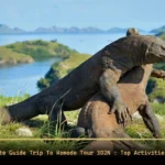 Ultimate Guide Trip To Komodo Tour 3D2N Top Activities and Hidden Gems