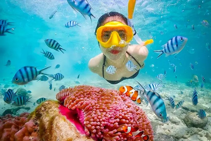 snorkling and diving adventures in pink beach