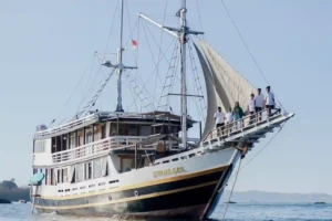Sukha Sail 2 1