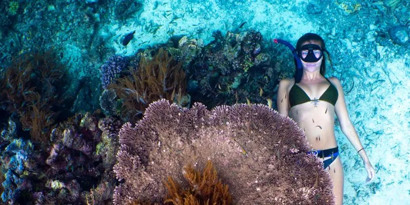 Luxury Experience Snorkel in Style with Phinisi Trip