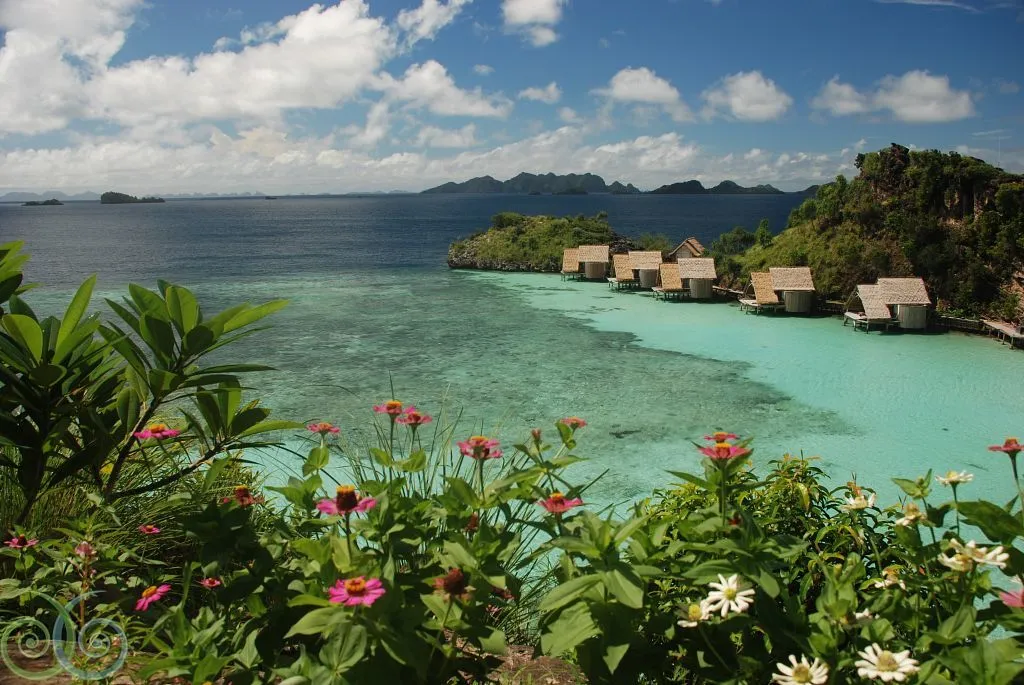 snorkeling in misool raja ampat island