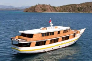 Vhale 2 1