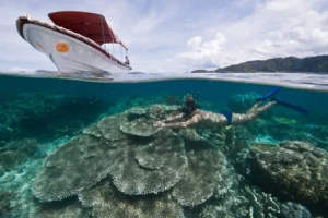 Diver exploring Cape Kri coral reef in Raja Ampat