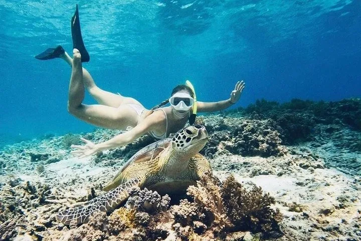 snorkeling in Wofoh Island Raja Ampat
