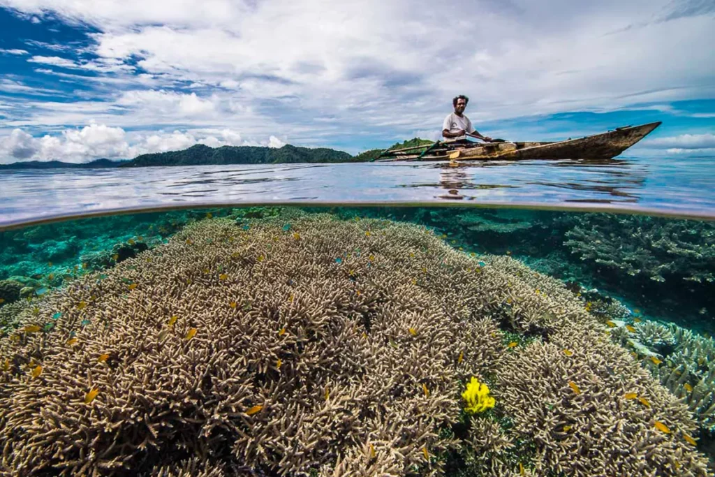 traditional sasi reef protection