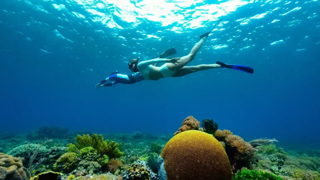 Snorkeling and Diving in West Waigeo