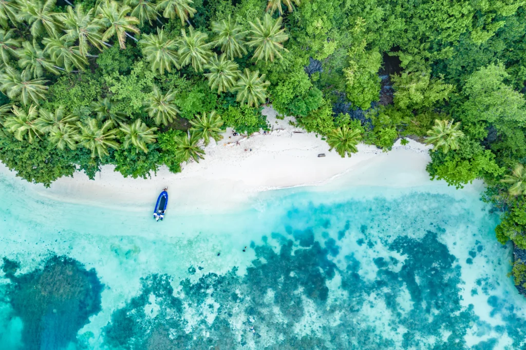 Snorkeling and Diving on Mansuar Island