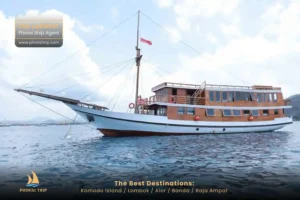 Komodo Tour Package Aimar Cruise