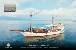 Komodo Tour Package Alfathran 1