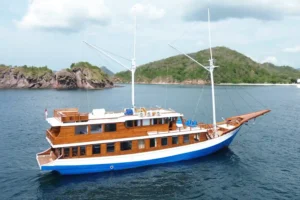 Arfisyana 2