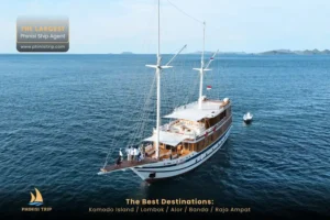 Komodo Tour Package Catnazse