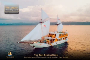 Komodo Tour Package Gandiva Phinisi