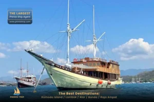 Komodo Tour Package Leticia Phinisi