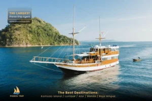 Komodo Tour Package NK Jaya 1