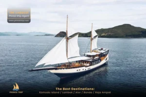 Komodo Tour Package Navila Liveaboard
