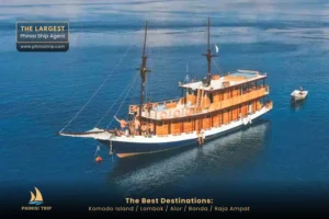 Komodo Tour Package Papiton Lopi