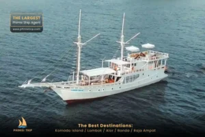 Komodo Tour Package Sands Bajo