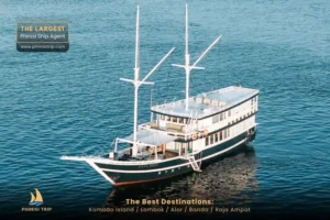 Komodo Tour Package Tara Phinisi